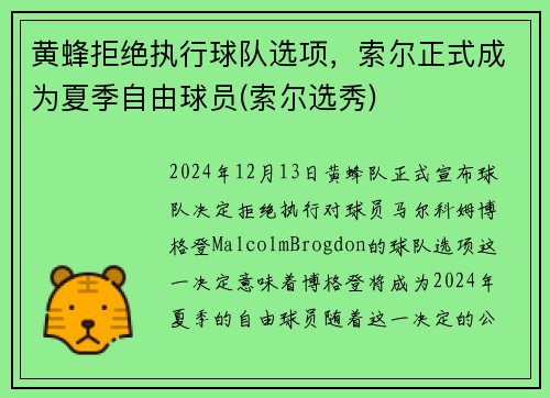 黄蜂拒绝执行球队选项，索尔正式成为夏季自由球员(索尔选秀)